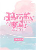 玛丽苏的意思